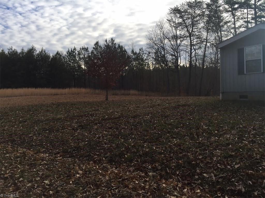 1333 George Road Westfield, NC 27053 - Photo 6 of 20 Gallery Image 6