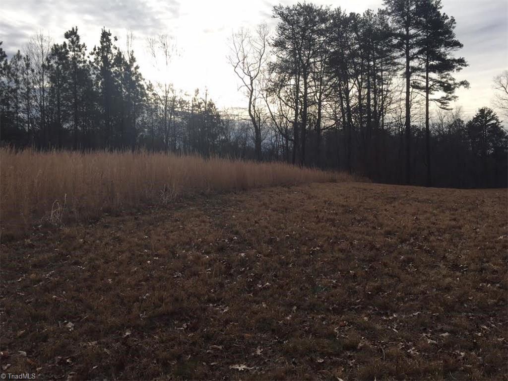 1333 George Road Westfield, NC 27053 - Photo 7 of 20 Gallery Image 7