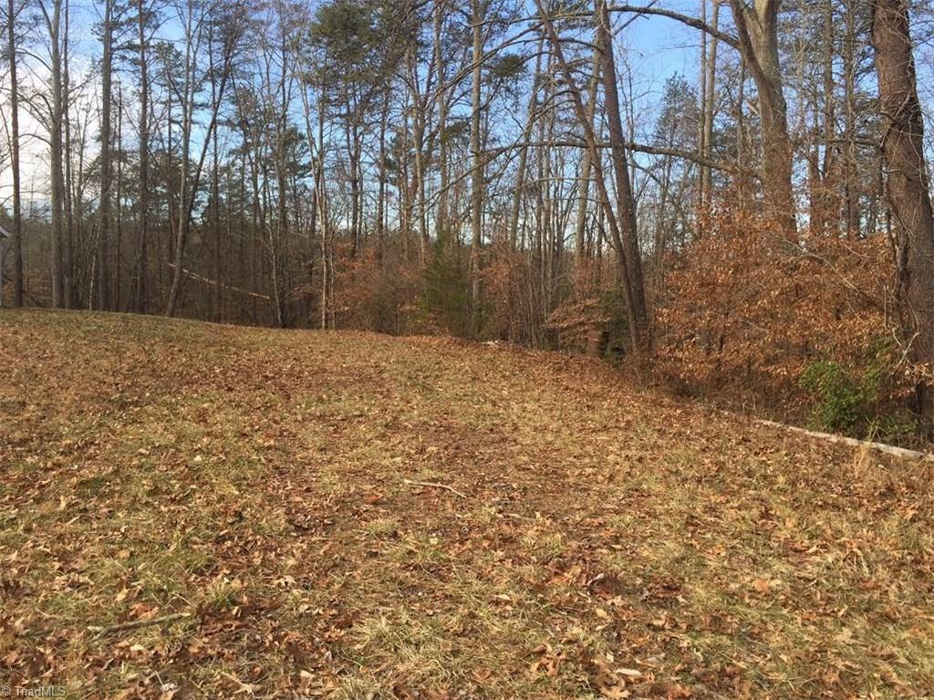 1333 George Road Westfield, NC 27053 - Photo 8 of 20 Gallery Image 8