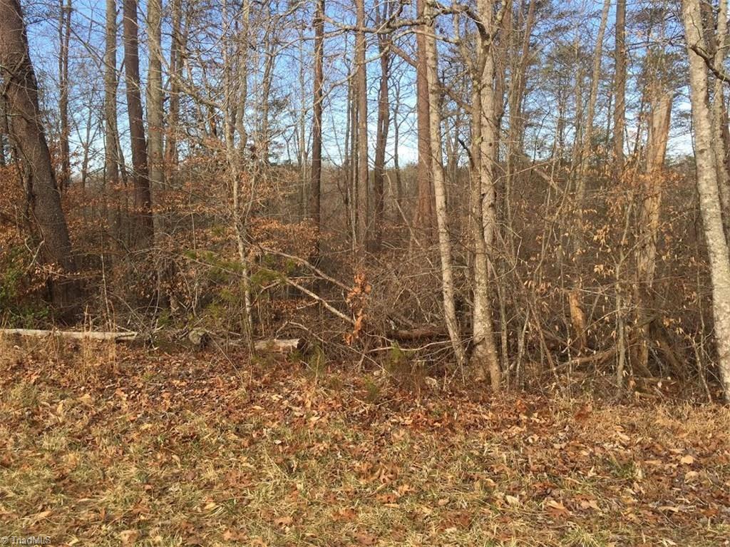 1333 George Road Westfield, NC 27053 - Photo 9 of 20 Gallery Image 9