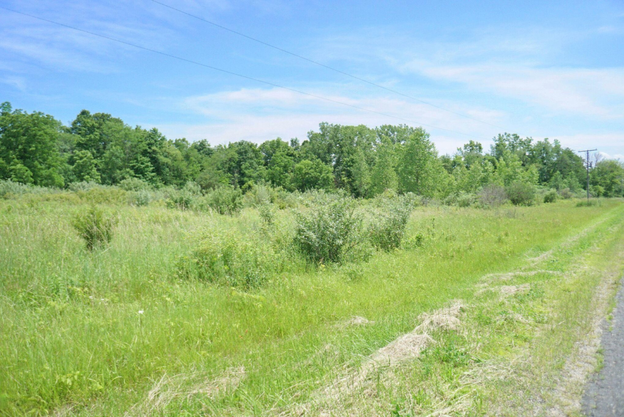 0 Sinclair Road Eau Claire, MI 49111 - Photo 20 of 23 0 Sinclair Road photo 18