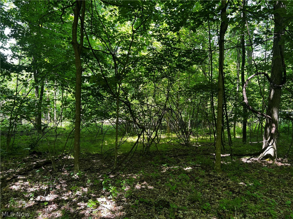 1089 Township Road Perrysville, OH 44864 - Photo 16 of 23 Gallery Image 16