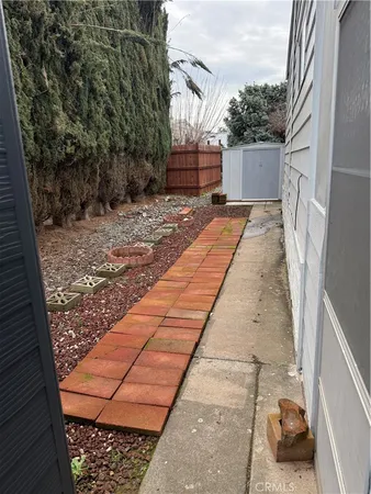 a view of backyard with large tree