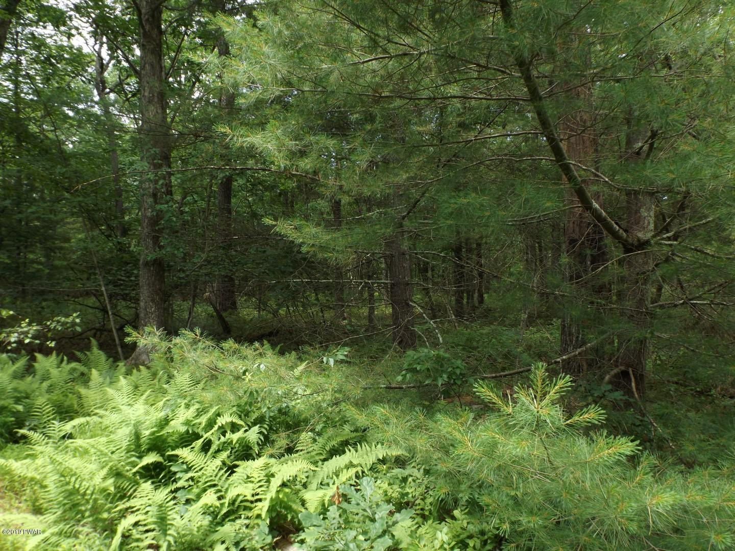 Lot 8 Engvaldsen Road Hawley, PA 18428 - Photo 1 of 8