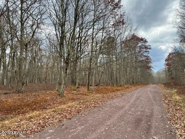 149 Mountain Top Road Lackawaxen, PA 18435 - Photo 10 of 13