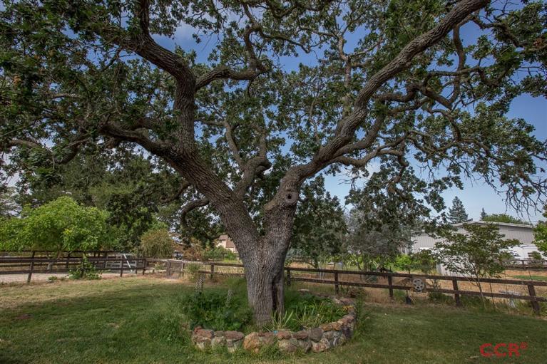 1199 North Refugio Road Santa Ynez, CA 93460 - Photo 11 of 13 Additional Photo