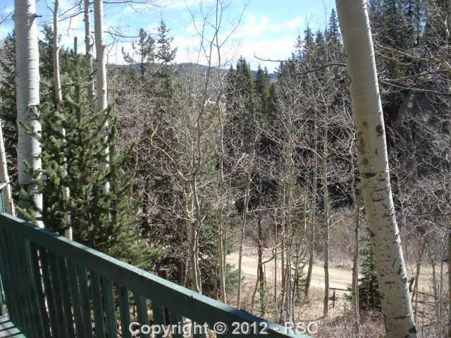 1867 Beaver Valley Road Victor, CO 80860 - Photo 11 of 11 Gallery Image 11