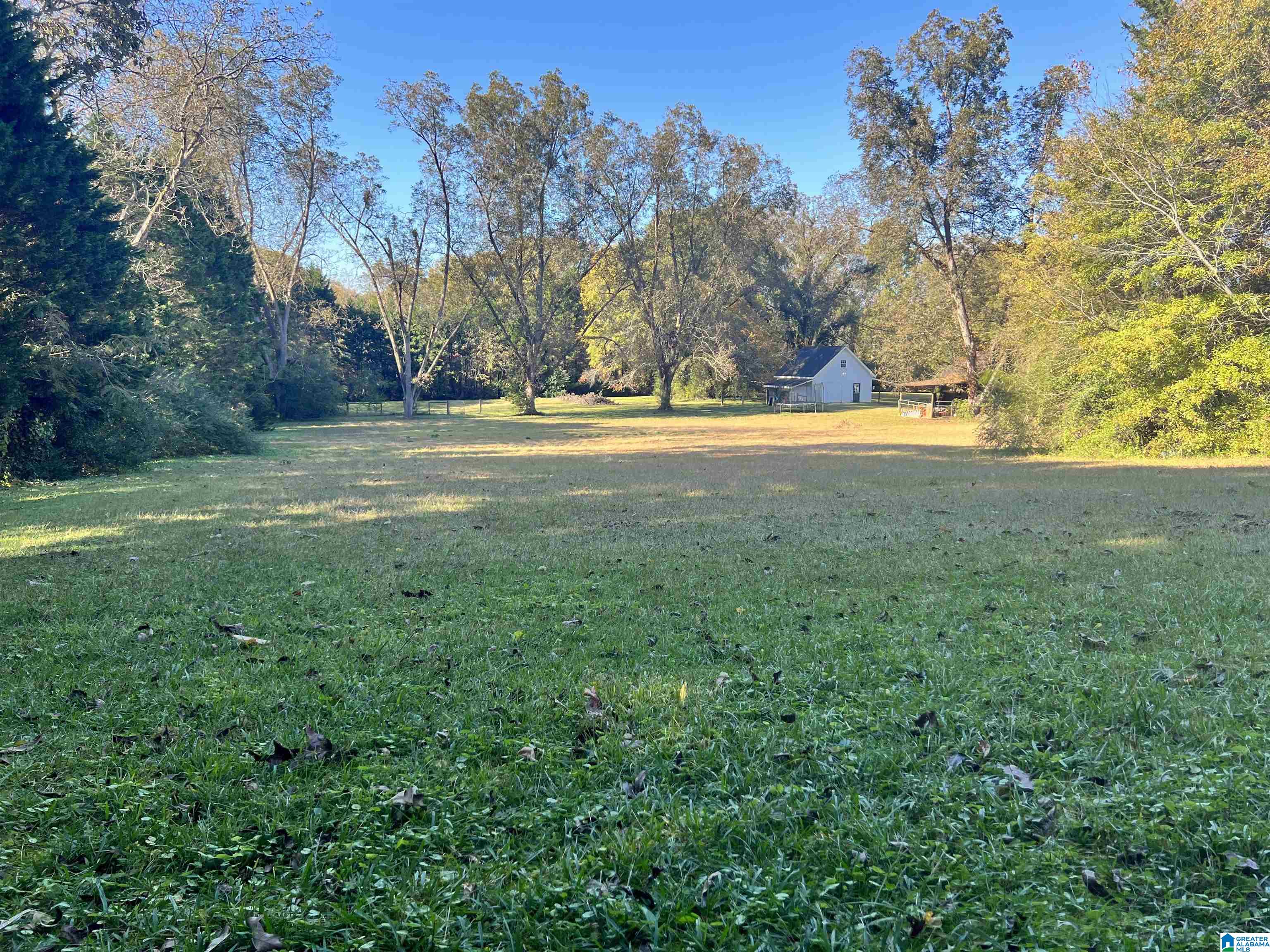 1429 Main Street Roanoke, AL 36274 - Photo 41 of 42