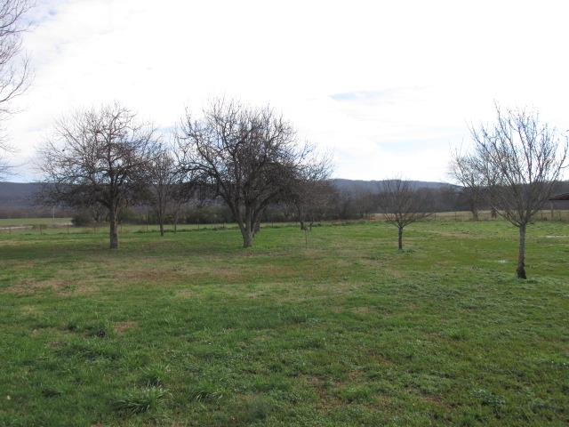 1384 Bailey Road Hillsboro, TN 37342 - Photo 8 of 20 Beautiful views of the land surrounding the house.