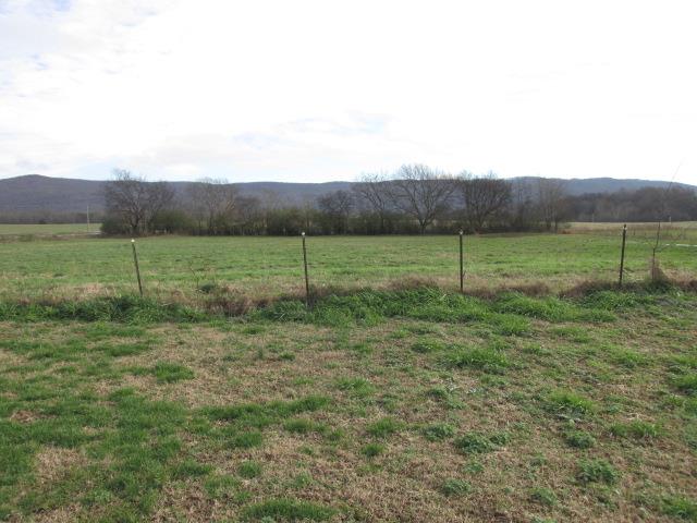 1384 Bailey Road Hillsboro, TN 37342 - Photo 9 of 20 Still more view of the land.