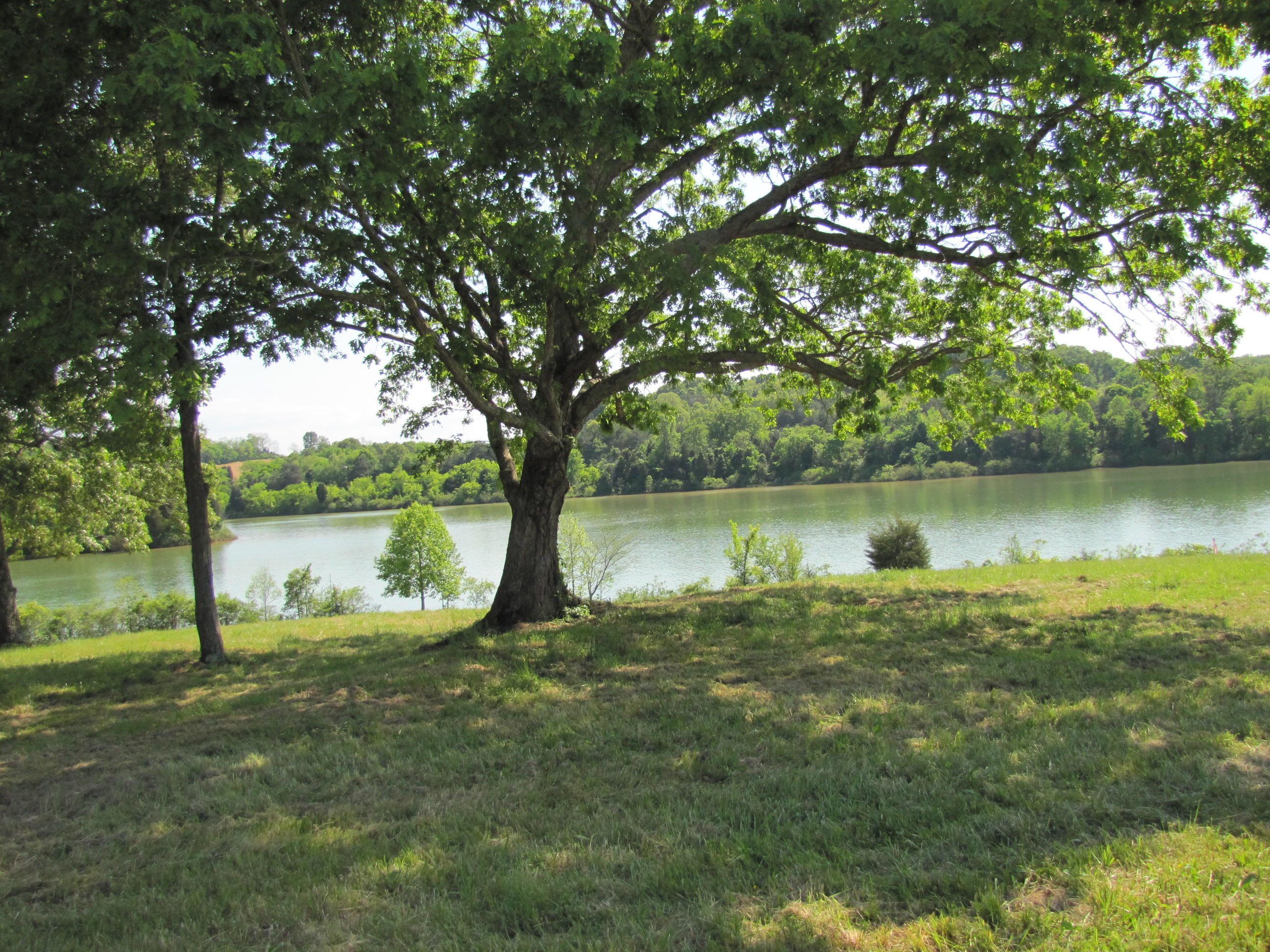 157 Bakers Pointe Greenback, TN 37742 - Photo 2 of 10 IMG_4235