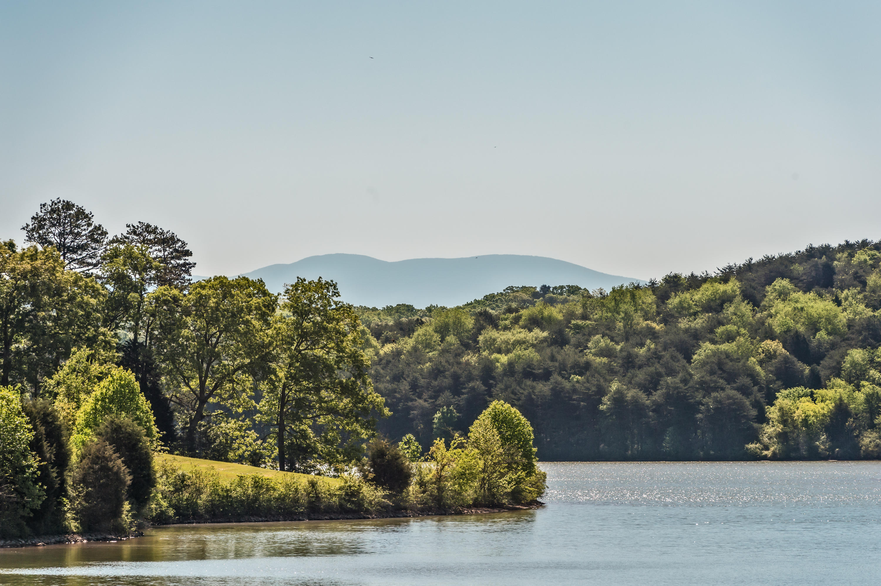 157 Bakers Pointe Greenback, TN 37742 - Photo 5 of 10 DSC_0041-Edit (2)