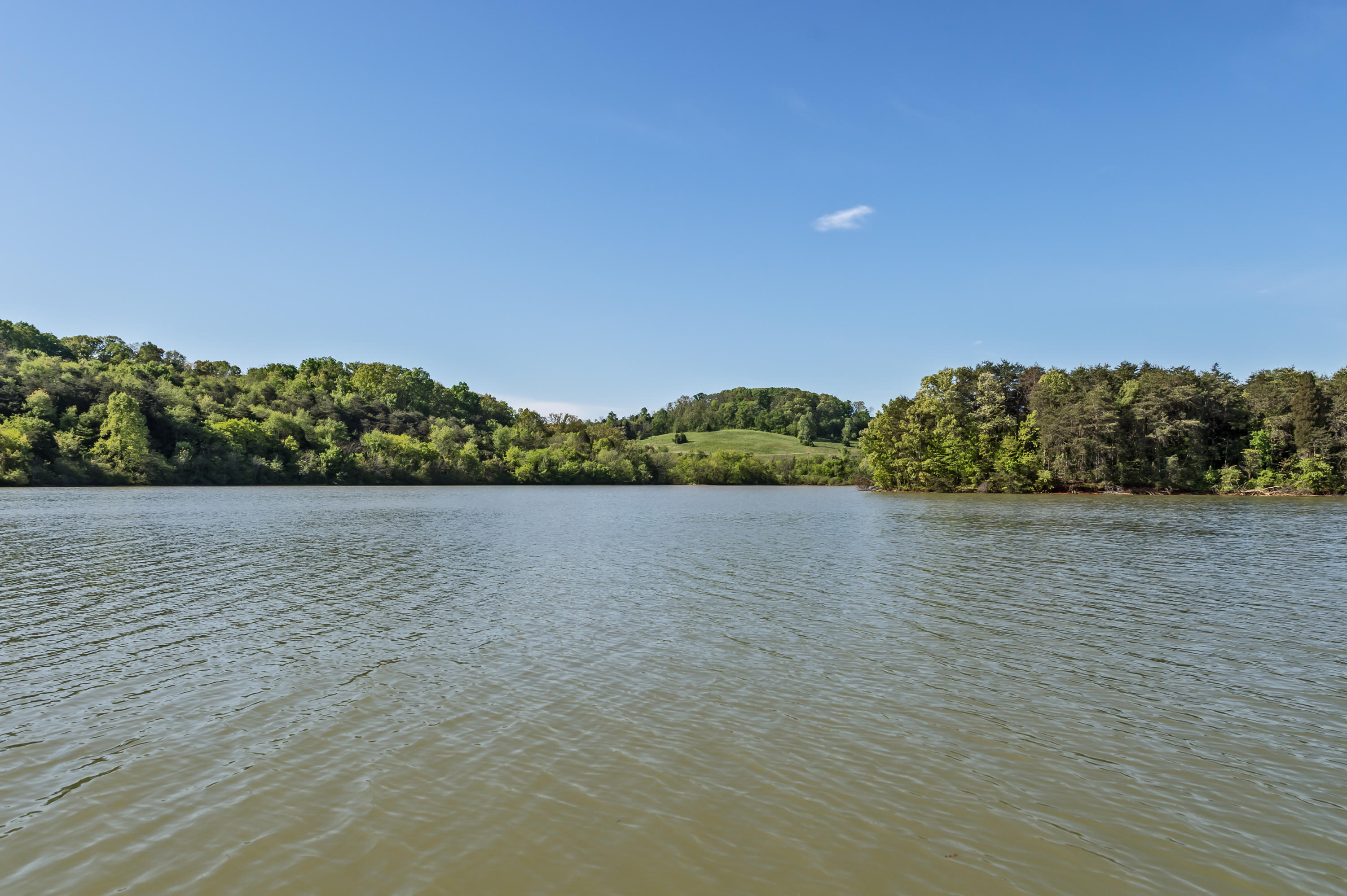 157 Bakers Pointe Greenback, TN 37742 - Photo 10 of 10 BB4_7468-Edit-Edit