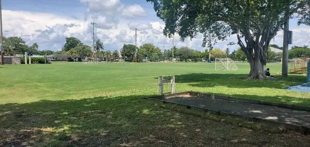 a view of a park with large trees