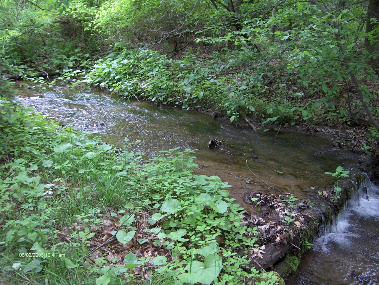 1204 Cameron Road Effort, PA 18330 - Photo 6 of 6 creek
