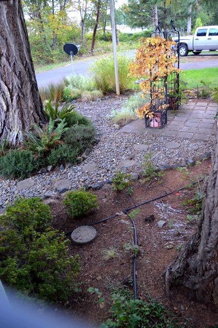 222 Ollis Road, Unit 5A Cave Junction, OR 97523 - Photo 16 of 18 Additional Photo