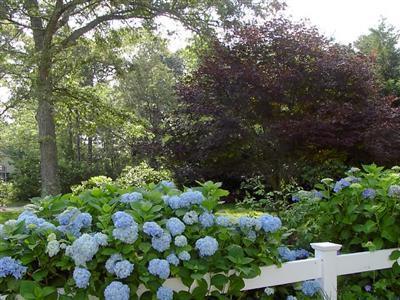 23 Fox Crossing Road Brewster, MA 02631 - Photo 26 of 31 Additional Photo