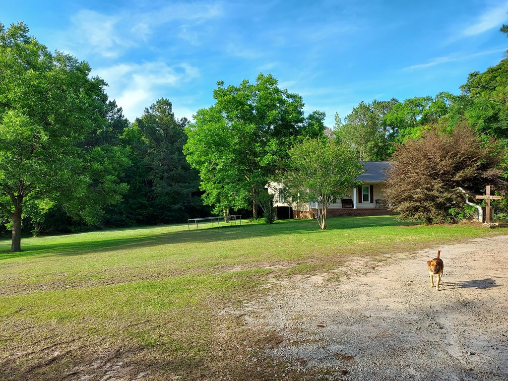 2985 Fish Dam Road Thomson, GA 30824 - Photo 25 of 33
