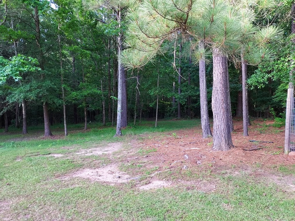 2985 Fish Dam Road Thomson, GA 30824 - Photo 28 of 33