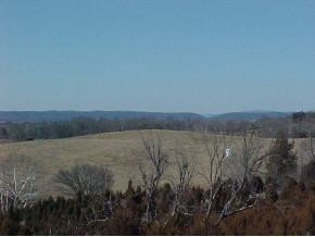 2275 Oakwood Road Midway, TN 37809 - Photo 3 of 5 Photo 3