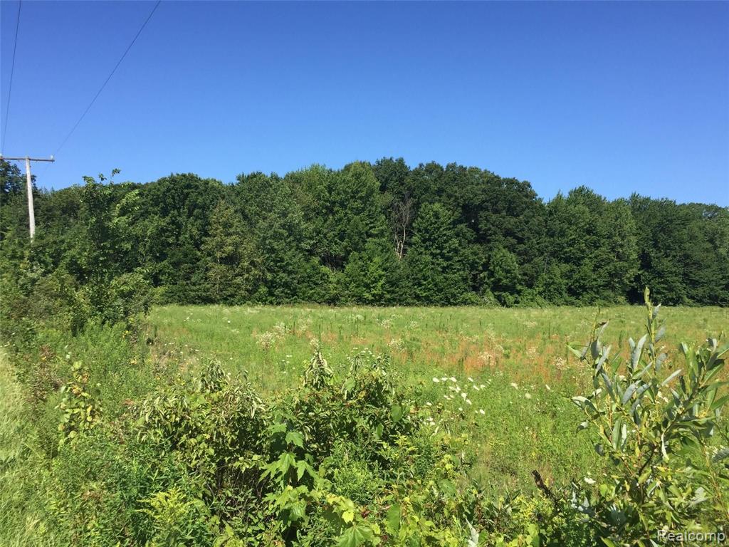 Tbd Cribbins Road Avoca, MI 48006 - Photo 1 of 5