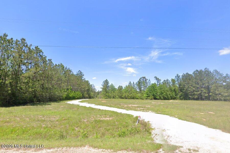 West McHenry Road McHenry, MS 39561 - Photo 1 of 1 Frontage