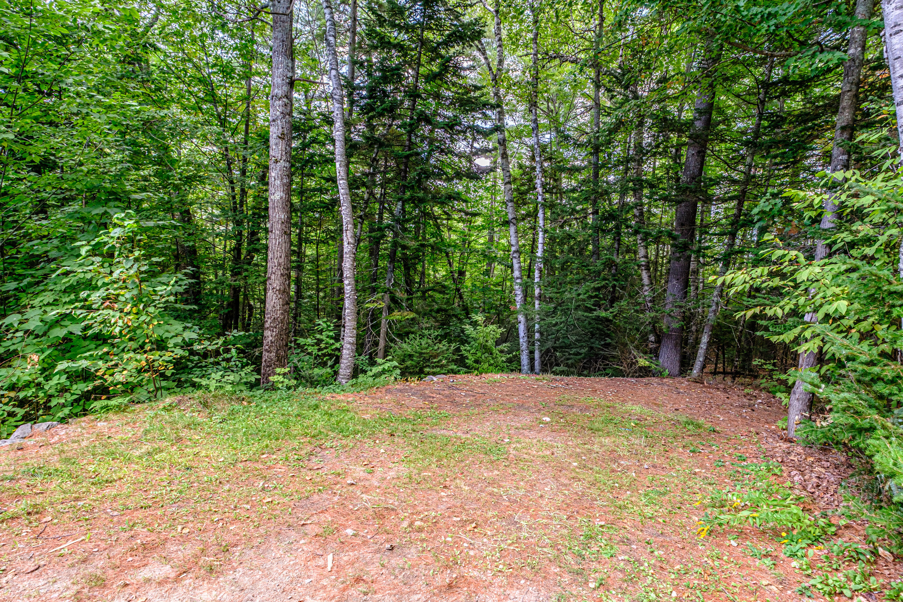 53 Nordic Knoll Road Newry, ME 04261 - Photo 61 of 74 20260908gp-62093