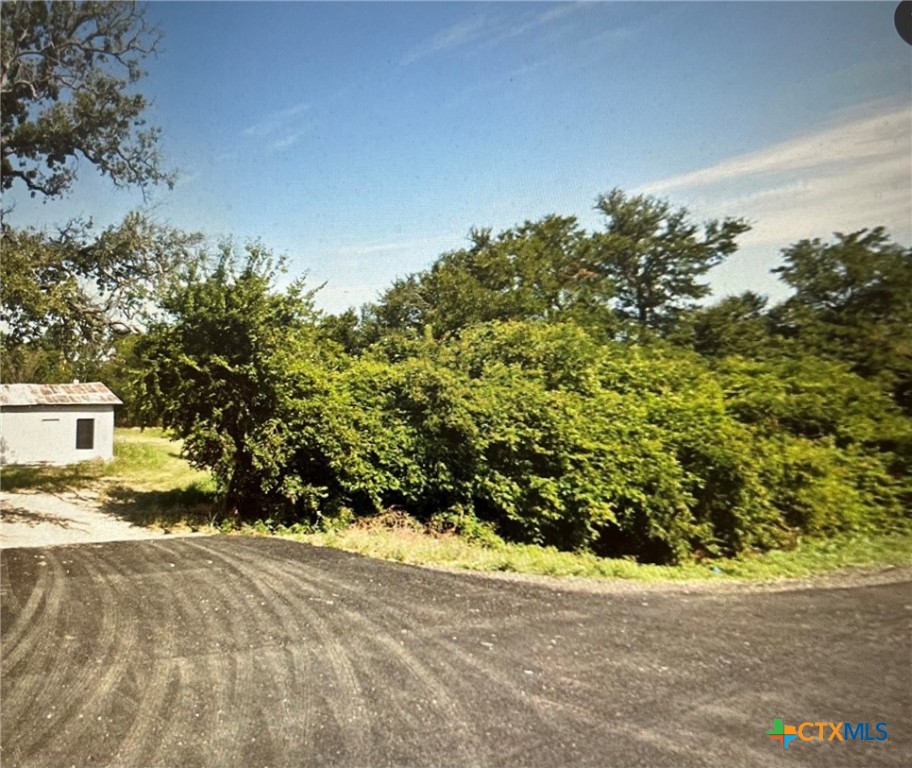 3004 North Travis Avenue Cameron, TX 76520 - Photo 2 of 2 a view of a yard with plants and large trees