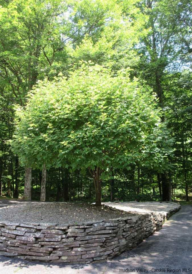 48 Saxton Flats Road Saugerties, NY 12477 - Photo 19 of 21 a view of a yard with plants and trees