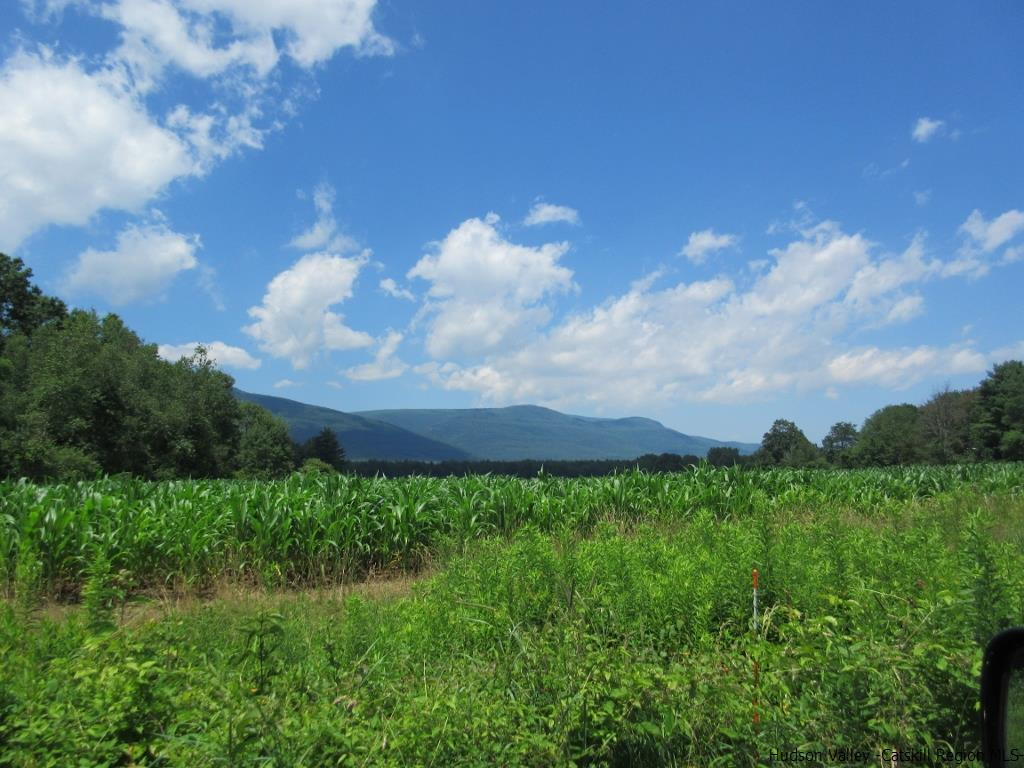48 Saxton Flats Road Saugerties, NY 12477 - Photo 4 of 21 a view of a bunch of trees in a field
