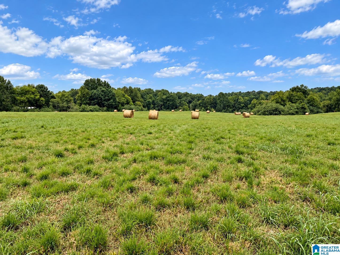 0 Schoolhouse Road Baileyton, AL 35019 - Photo 4 of 14 Gallery Image 4