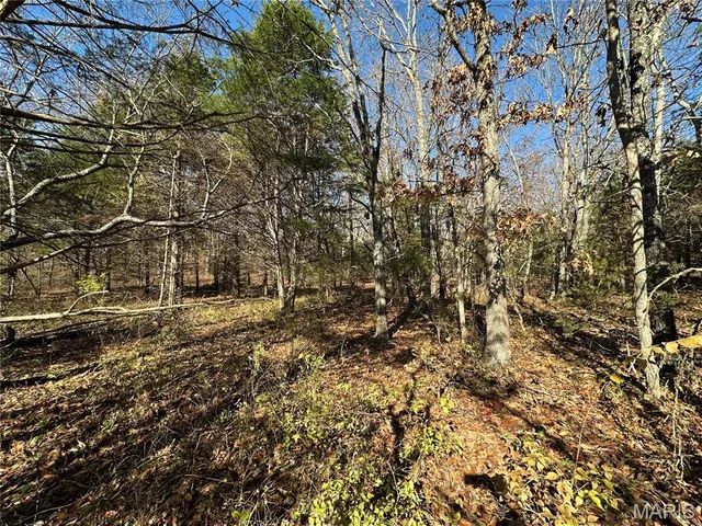 $277,560 | 0 Mo-hh, Salem, MO 65560