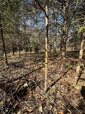 $277,560 | 0 Mo-hh, Salem, MO 65560