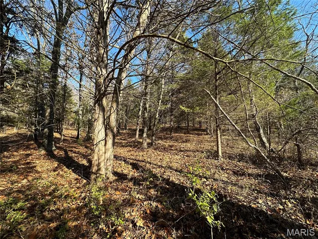 $277,560 | 0 Mo-hh, Salem, MO 65560