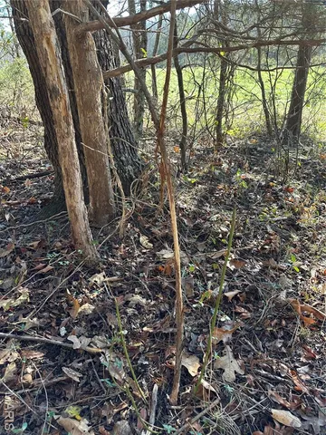 $277,560 | 0 Mo-hh, Salem, MO 65560