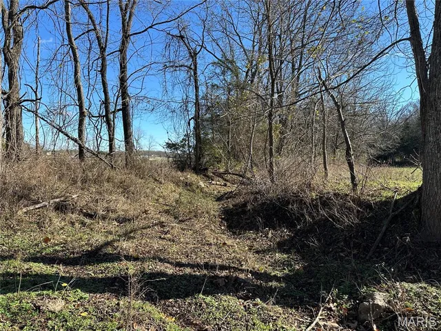 $277,560 | 0 Mo-hh, Salem, MO 65560