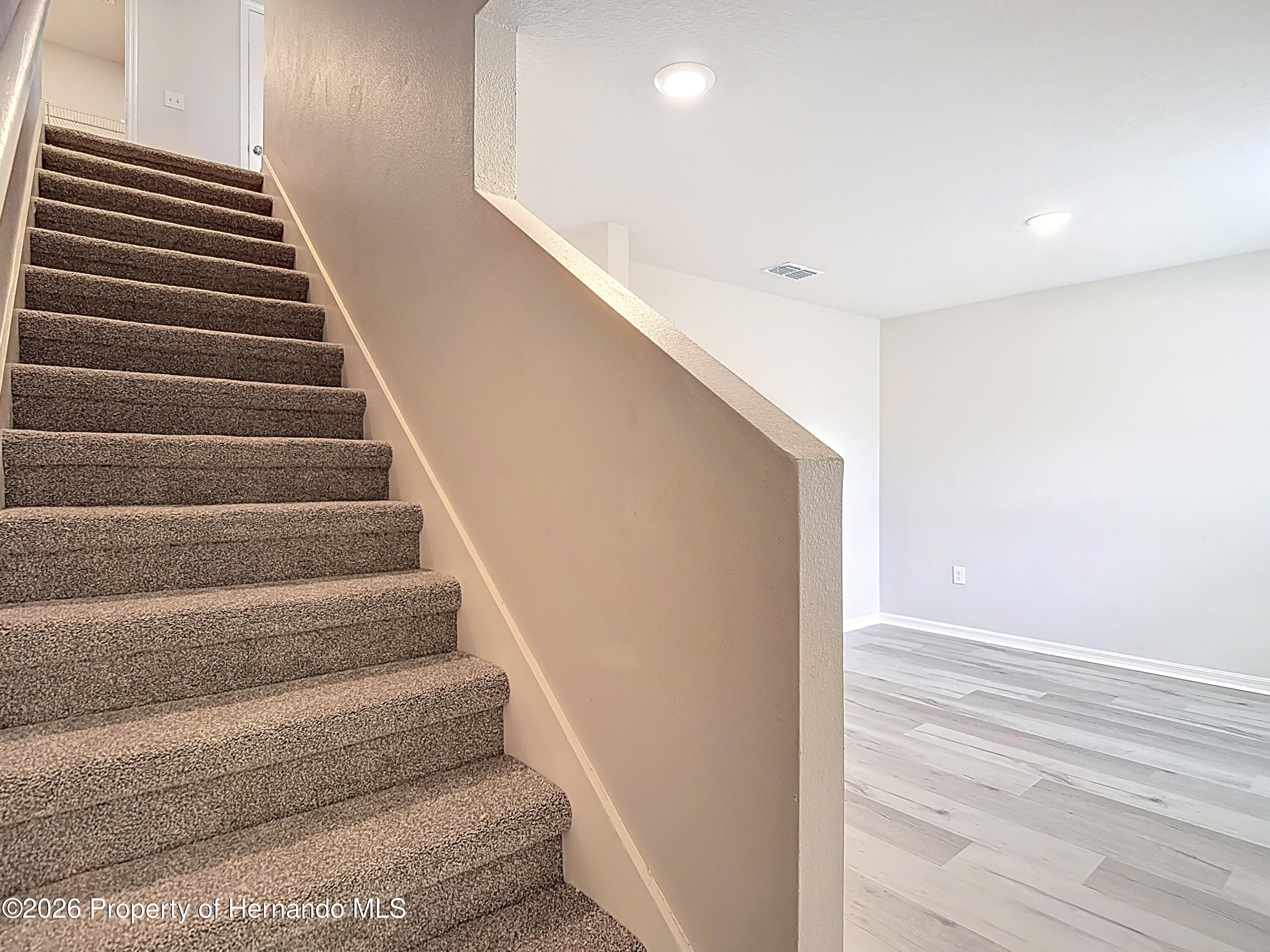 11374 Marcella Avenue Weeki Wachee, FL 34614 - Photo 31 of 70