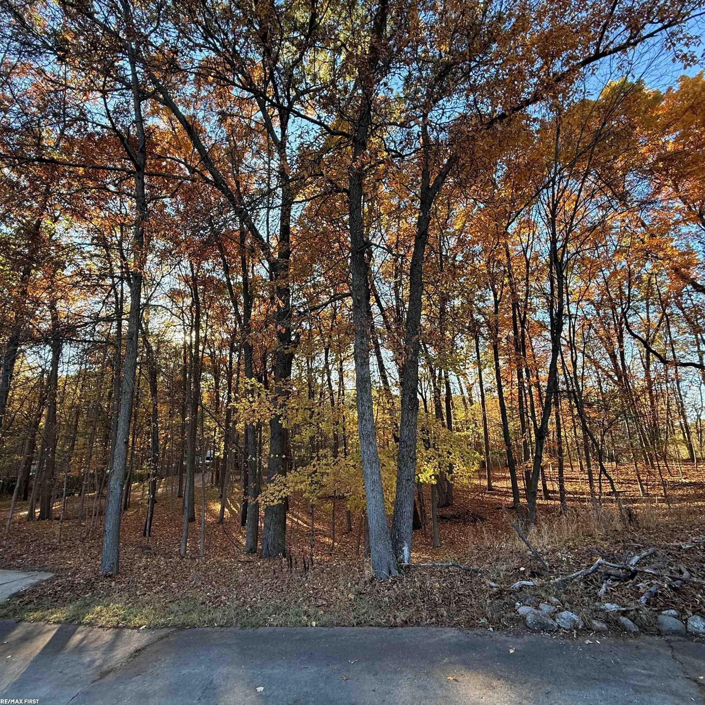1185 Barr Road Oxford, MI 48370 - Photo 30 of 35 50193060-52aad4fc-8439-412b-8ffb-36bb2d8ea09a.JPG