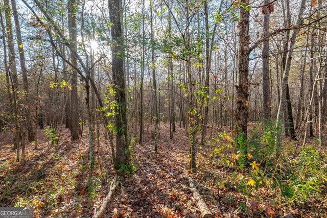 $350,000 | 205 Hidden Brook Trail, Newnan, GA 30265