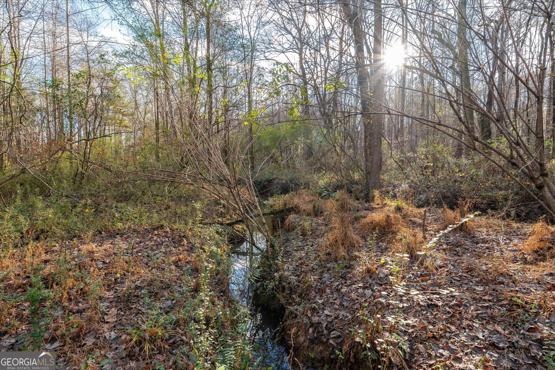 205 Hidden Brook Trail Newnan, GA 30265 - Photo 32 of 34
