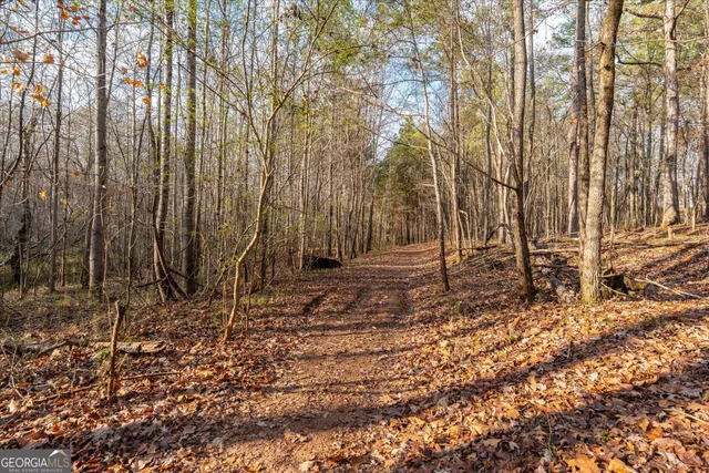 $350,000 | 205 Hidden Brook Trail, Newnan, GA 30265