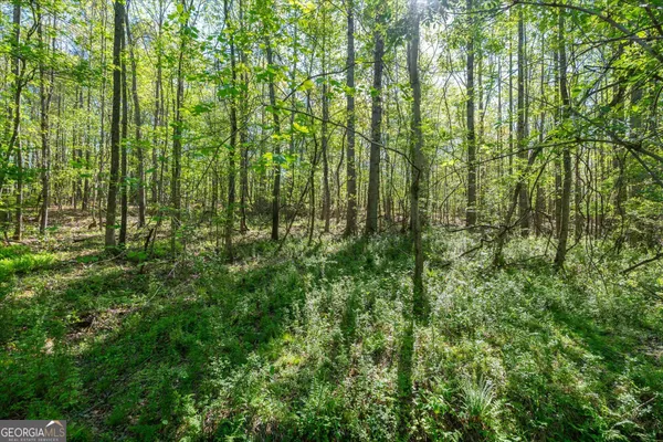 $349,000 | 205 Hidden Brook Trail, Newnan, GA 30265