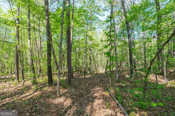 $349,000 | 205 Hidden Brook Trail, Newnan, GA 30265