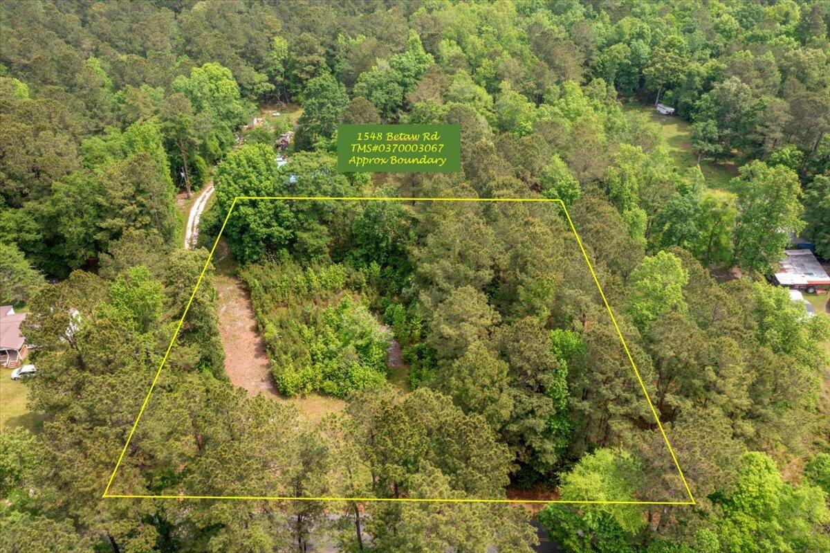 1548 Betaw Road St. Stephen, SC 29479 - Photo 1 of 9 10-DJI_0260