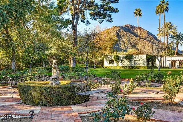a view of a fountain with potted plants and large trees