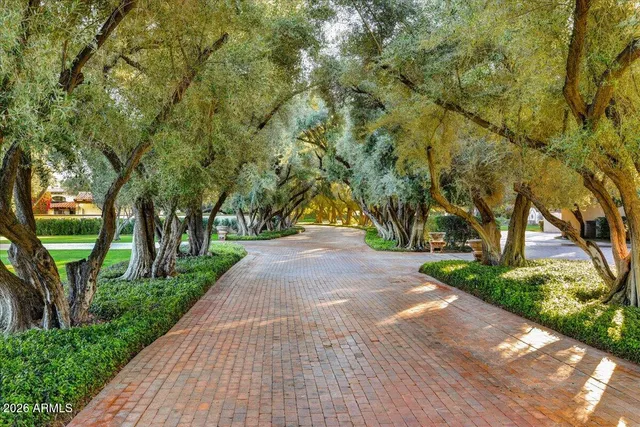 a view of park with large trees