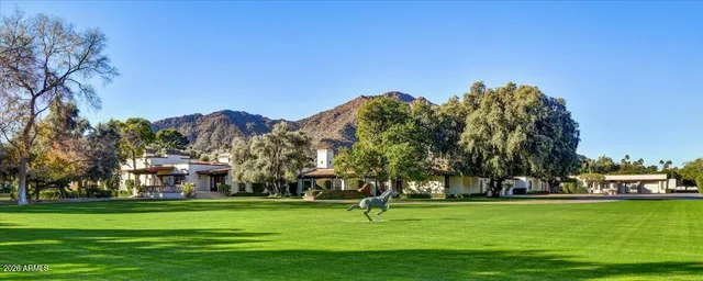 a garden view with a fountain
