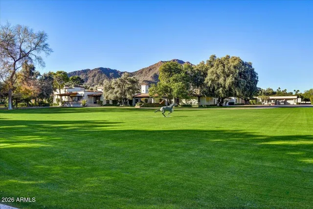 a view of a grassy field with trees