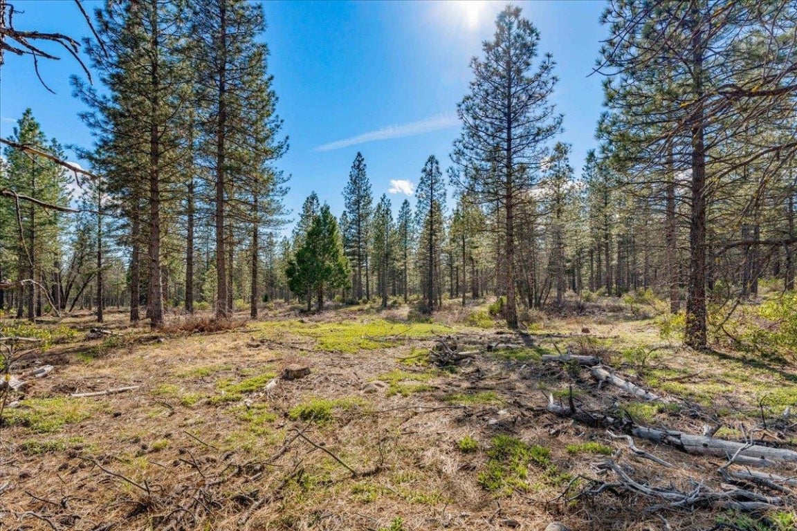 Lot West Intake Springs Road McCloud, CA 96057 - Photo 8 of 18 Gallery Image 8