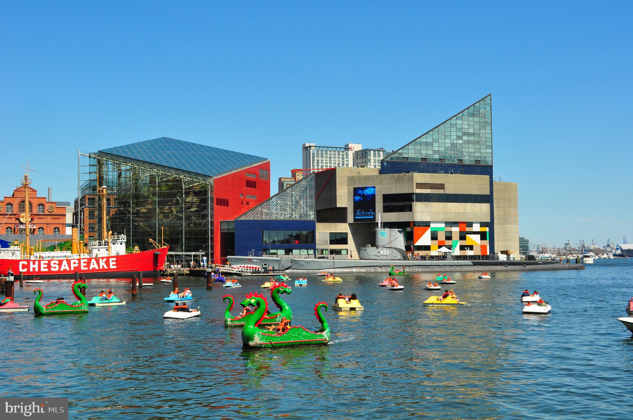 719 Pin Oak Road Severna Park, MD 21146 - Photo 37 of 39 Visit the National Aquarium in Baltimore Harbor!